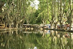 Castaway in Provence